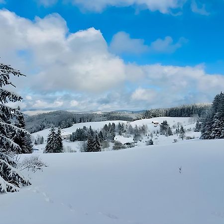Ferienwohnung Schwarzwald Nescht Triberg Triberg im Schwarzwald Exterior foto