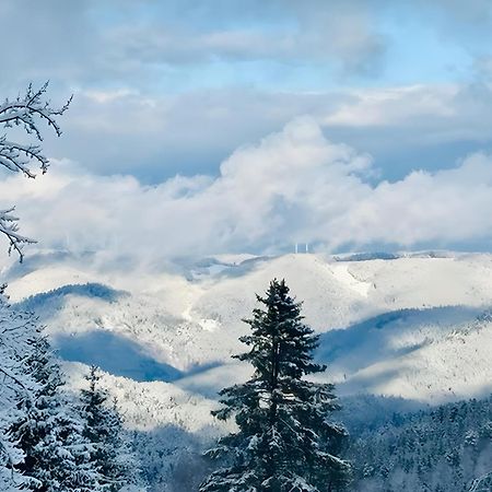 Ferienwohnung Schwarzwald Nescht Triberg Triberg im Schwarzwald Exterior foto